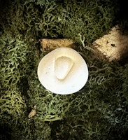 Fairy Stone | Älvsten