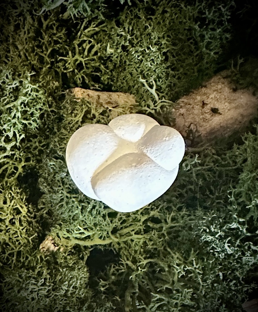 Fairy Stone | Älvsten