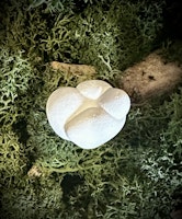 Fairy Stone | Älvsten