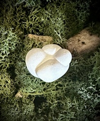 Fairy Stone | Älvsten