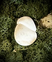 Fairy Stone | Älvsten