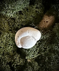 Fairy Stone | Älvsten