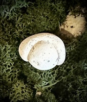 Fairy Stone | Älvsten