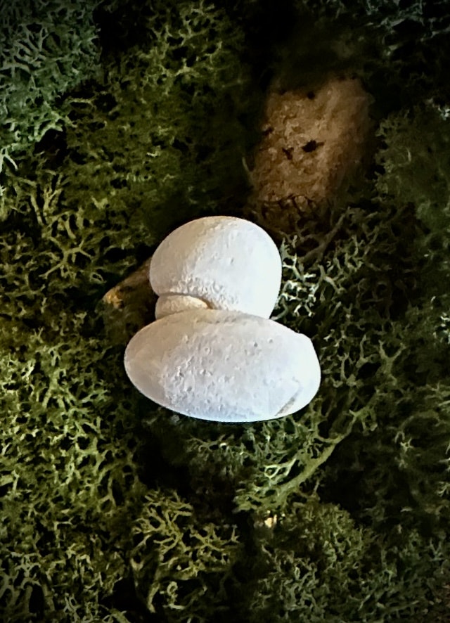 Fairy Stone | Älvsten