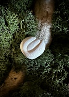 Fairy Stone | Älvsten