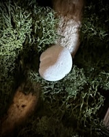 Fairy Stone | Älvsten