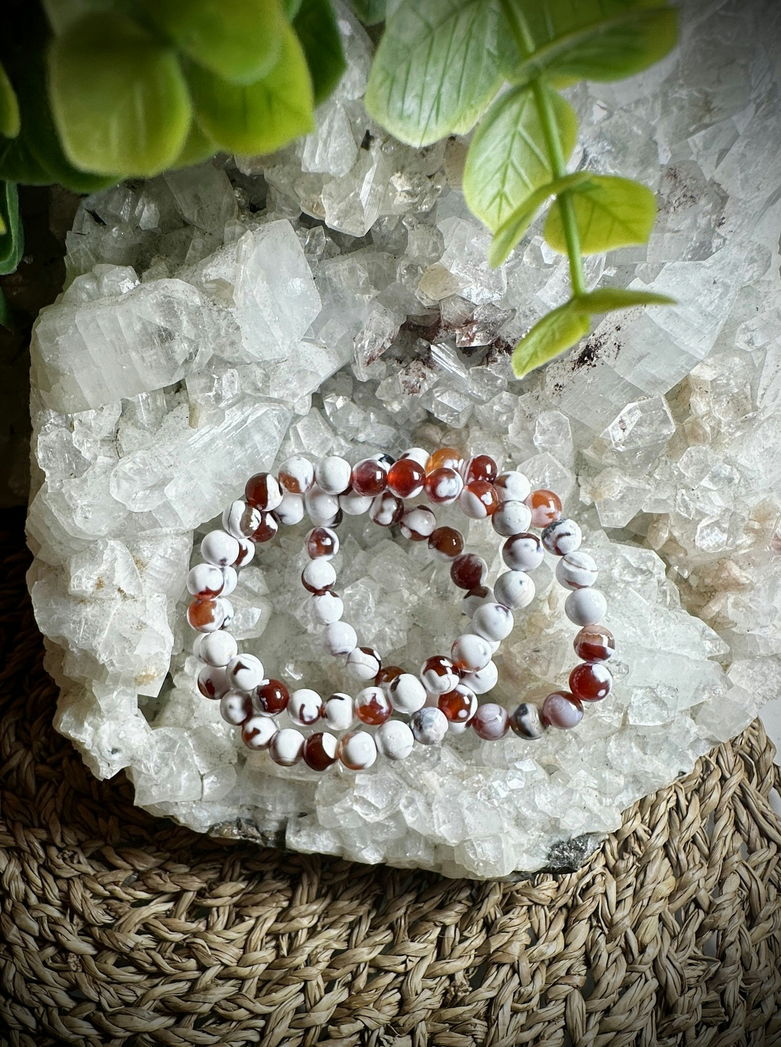 Röd Orca Agat Armband | 8 mm
