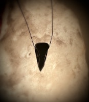 Svart Obsidian Korphuvud