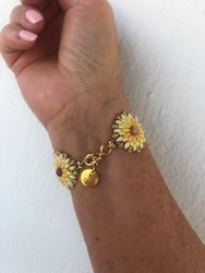 FLORISH in Sunshine