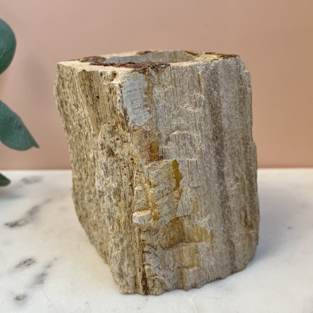Förstenat/Fossilerat trä, lykta A