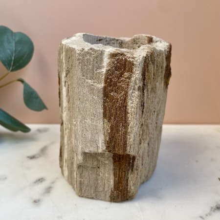Förstenat/Fossilerat trä, lykta B