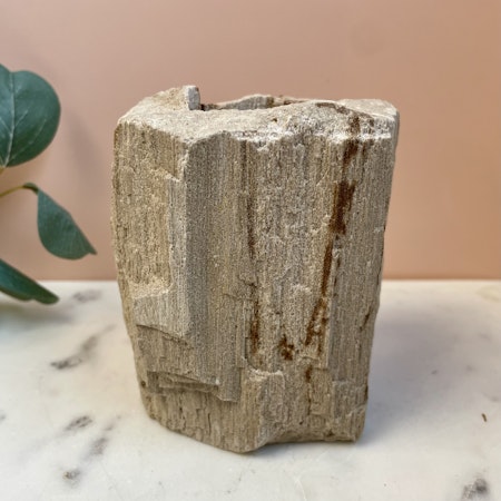 Förstenat/Fossilerat trä, lykta B