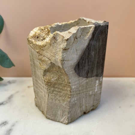 Förstenat/Fossilerat trä, lykta C