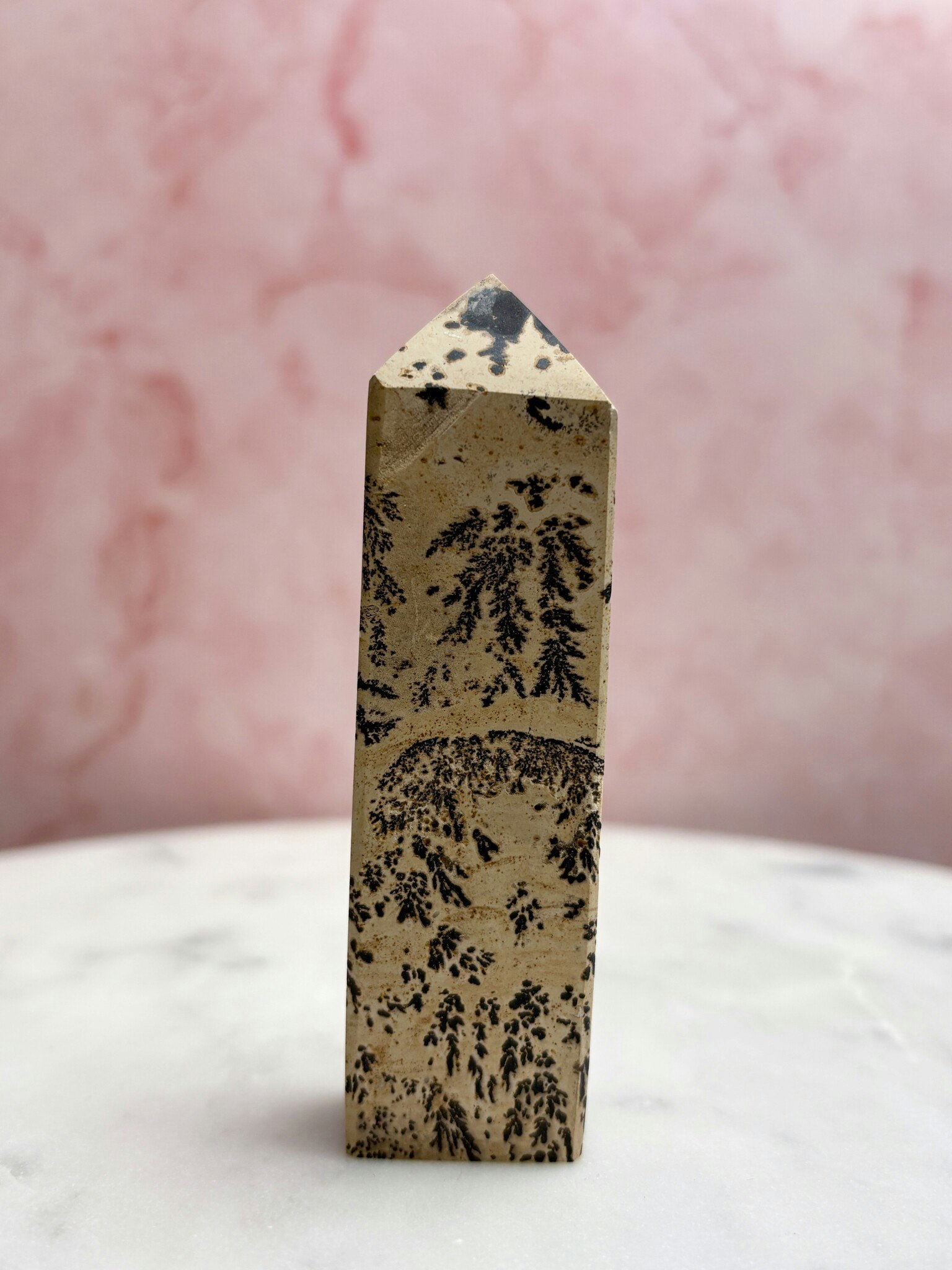 Picturestone Jaspis E, torn