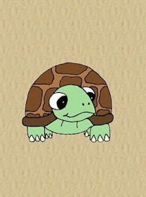 Sköldpadda by Needly.se panel