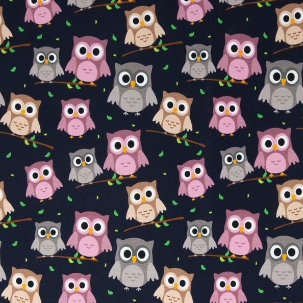 Owls on dark blue background