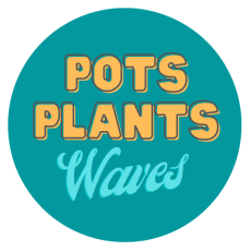 Pots Plants Waves