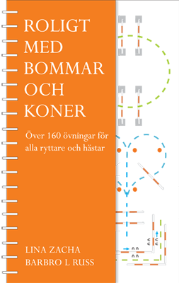 Roligt med bommar och koner