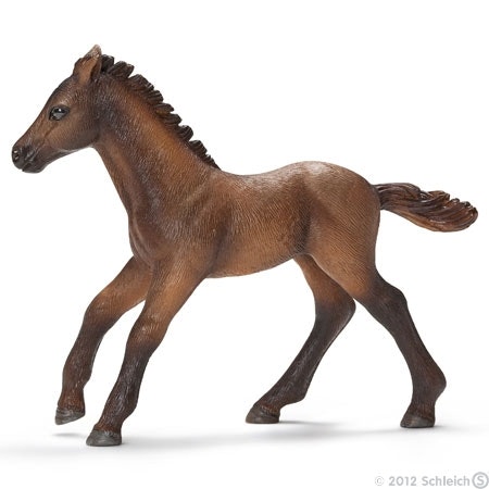 Camargue föl - Schleich