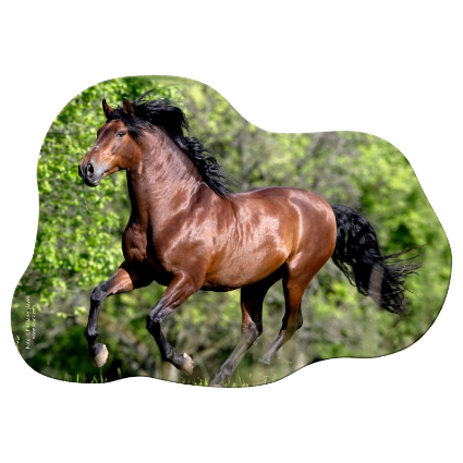 Mini Pussel Andalusier - hästmotiv