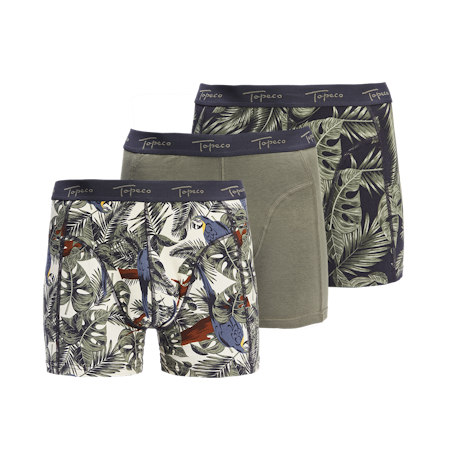 Boxer TOPECO 3 Pack Multi