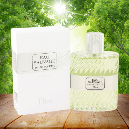 CHRISTIAN DIOR Eau Sauvage Eau de Toilette 100 ml
