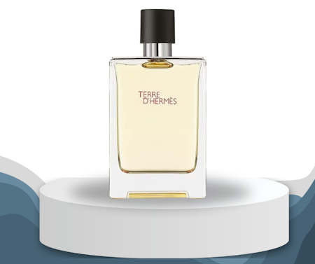 HERMÈS Terre d’Hermès Eau de Toilette Spray 200 ml