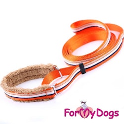 Collar & Leash, Halsband & Koppel i ett "Orange Randig" Unisex "For My Dogs"