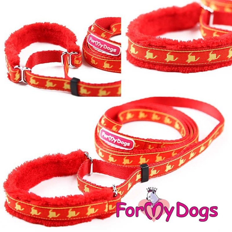 Collar & Leash, Halsband & Koppel i ett "Orangeröd Mönstrad" Unisex "For My Dogs"