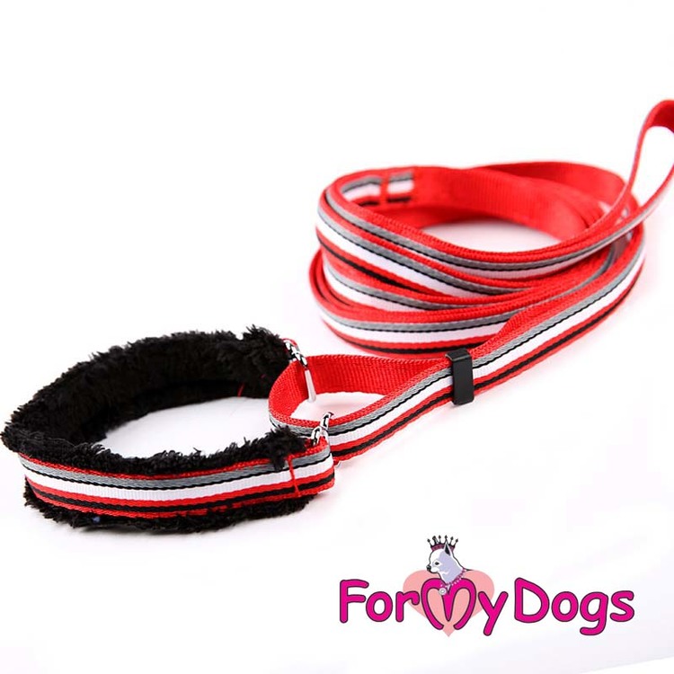 Collar & Leash, Halsband & Koppel i ett "Röd Randig" Unisex "For My Dogs"
