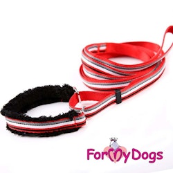 Collar & Leash, Halsband & Koppel i ett "Röd Randig" Unisex "For My Dogs"