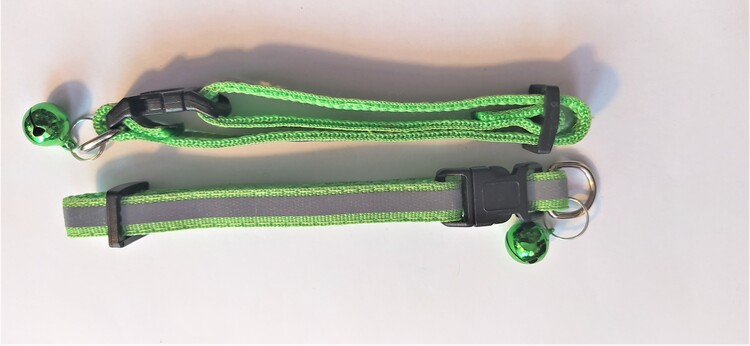 Halsband Valp - Liten ras - Reflex - Ljusgrön
