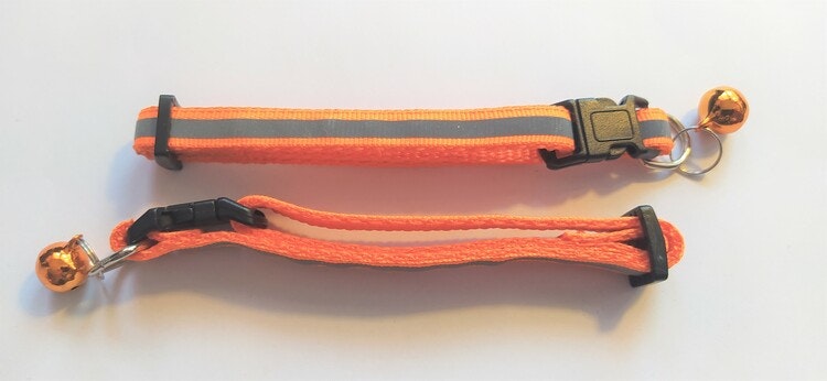 Halsband Valp - Liten ras - Reflex - Orange