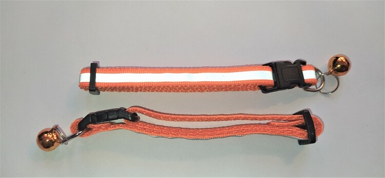 Halsband Valp - Liten ras - Reflex - Orange