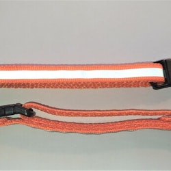 Halsband Valp - Liten ras - Reflex - Orange