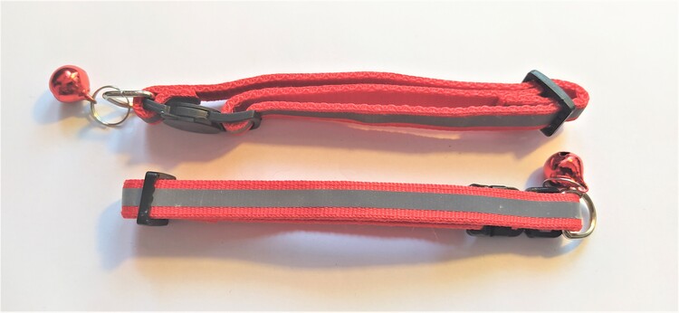 Halsband Valp - Liten ras - Reflex - Röd