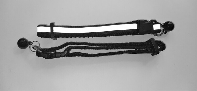 Halsband Valp - Liten ras - Reflex - Svart