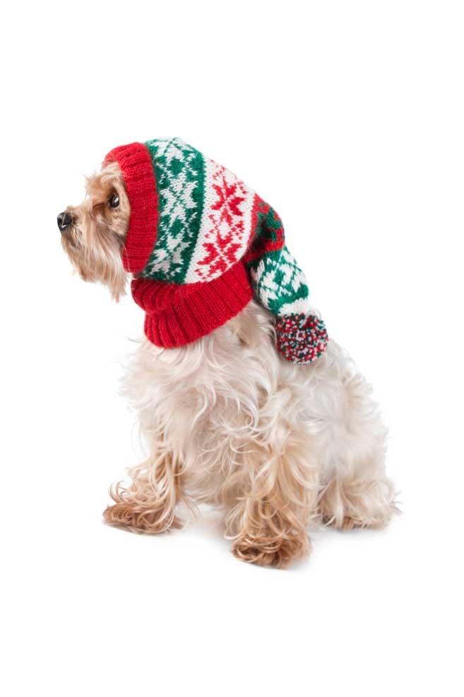 Mössa Christmas Snowflakes Red & Green Alpaca Dog Hat "Alqo Wasi Peruvian Dogwear"