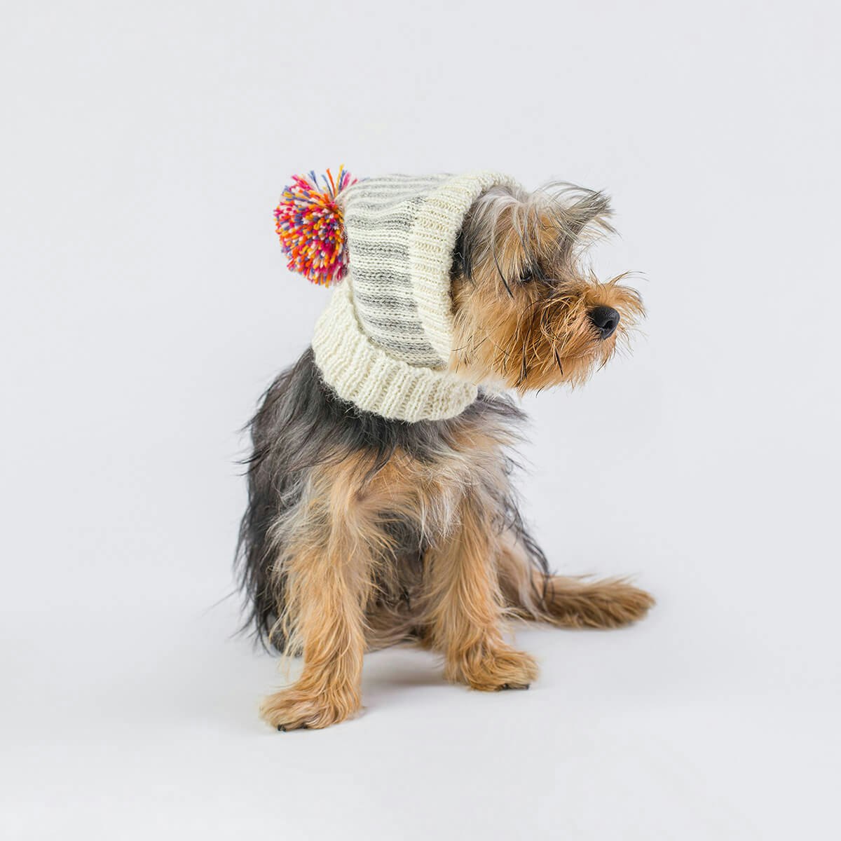 Mössa Christmas Rainbow Alpaca Dog Hat "Alqo Wasi Peruvian Dogwear"