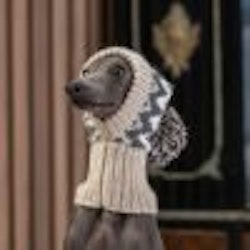 Mössa Woolly Winter Alpaca Dog Hat "Alqo Wasi Peruvian Dogwear"