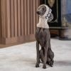 Mössa Woolly Winter Alpaca Dog Hat "Alqo Wasi Peruvian Dogwear"