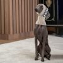 Mössa Woolly Winter Alpaca Dog Hat "Alqo Wasi Peruvian Dogwear"