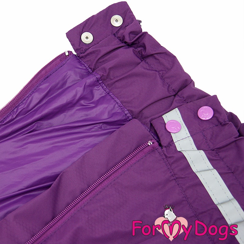 Regnoverall  "Alpheratz" Tik "For My Dogs"