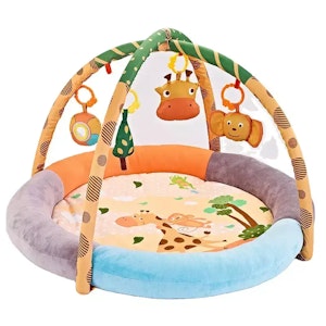 Fairchild Babygym Safari