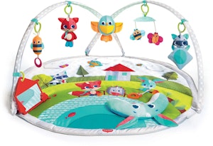 Tiny Love Dynamic Gymini Babygym
