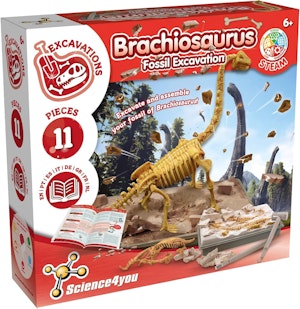 Science4you Brachiosaurus Fossila Utgrävningar