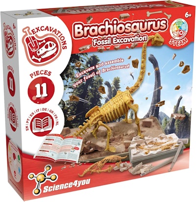 Science4you Brachiosaurus Fossila Utgrävningar