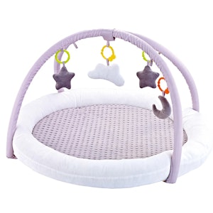 Fairchild Babygym