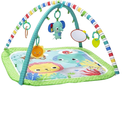 Bright Starts Wild Wiggles Babygym
