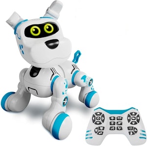 Xtrem Bots Bobby Radiostyrd Hund